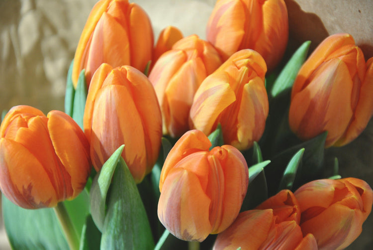 King’s Day Gifts