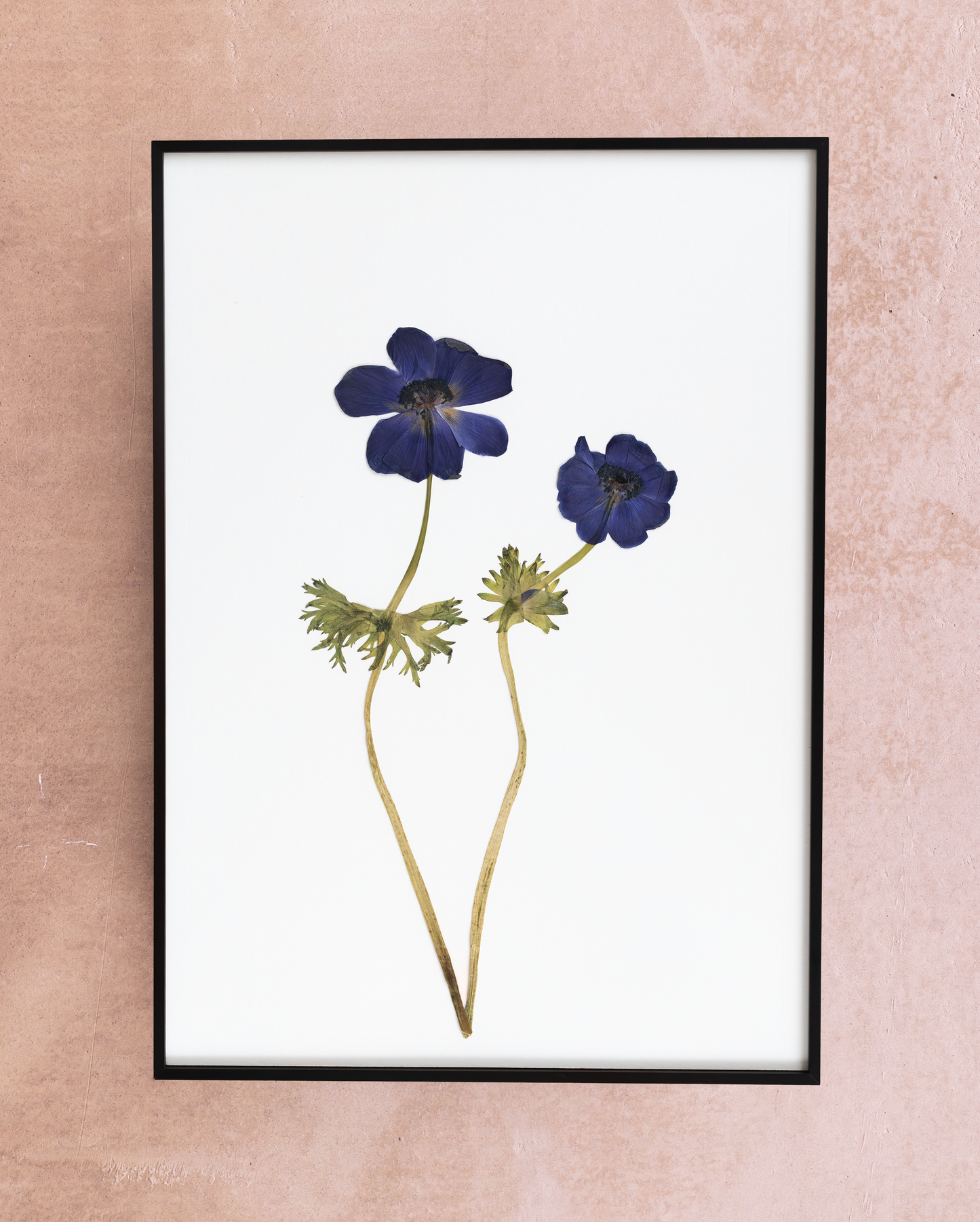 Handmade pressed flower art and botanical wall decor. Discover meaningful floral gifts crafted with love at Nostos Creative Studio.