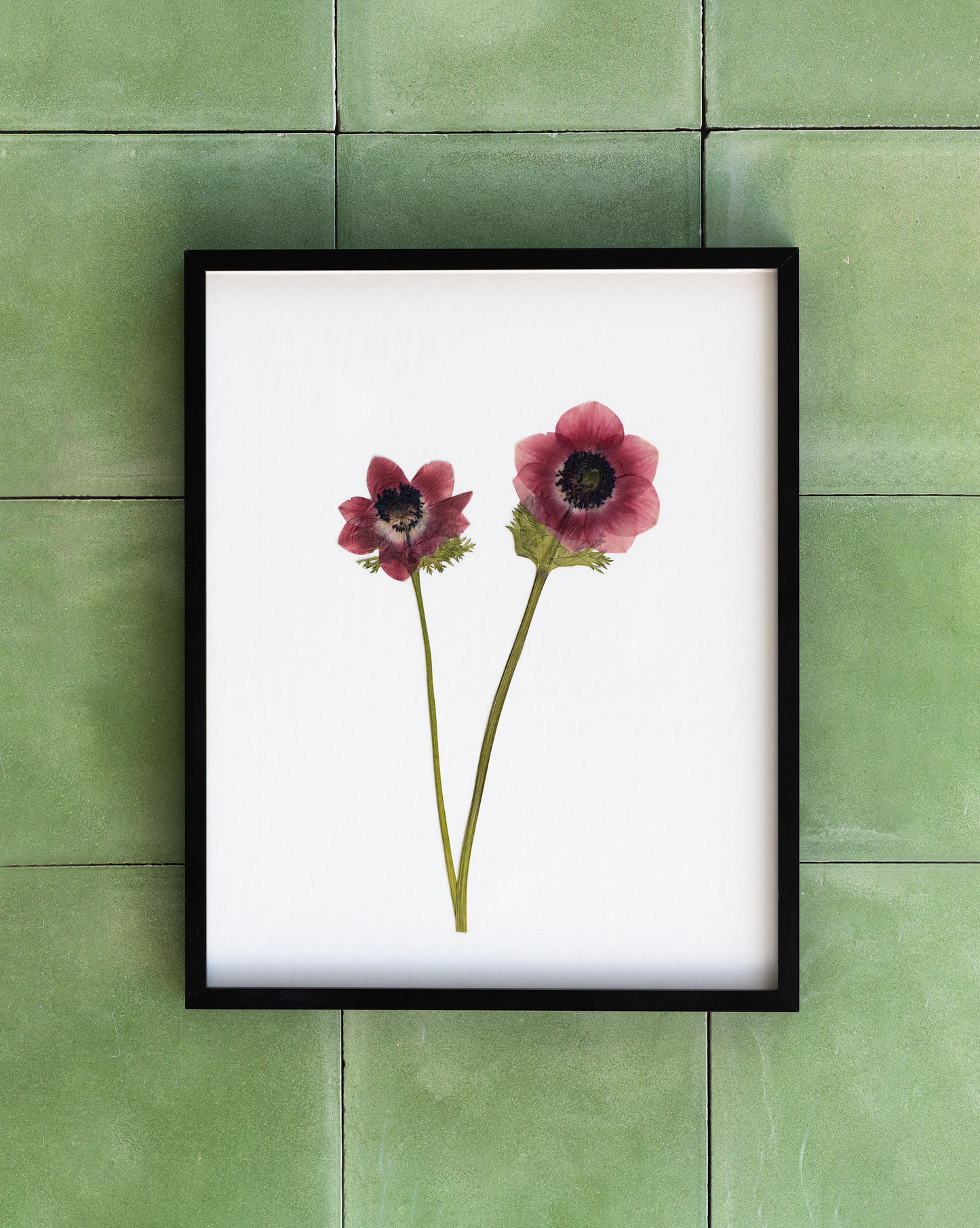 Handmade pressed flower art and botanical home decor. Discover meaningful floral gifts crafted with love at Nostos Creative Studio.
