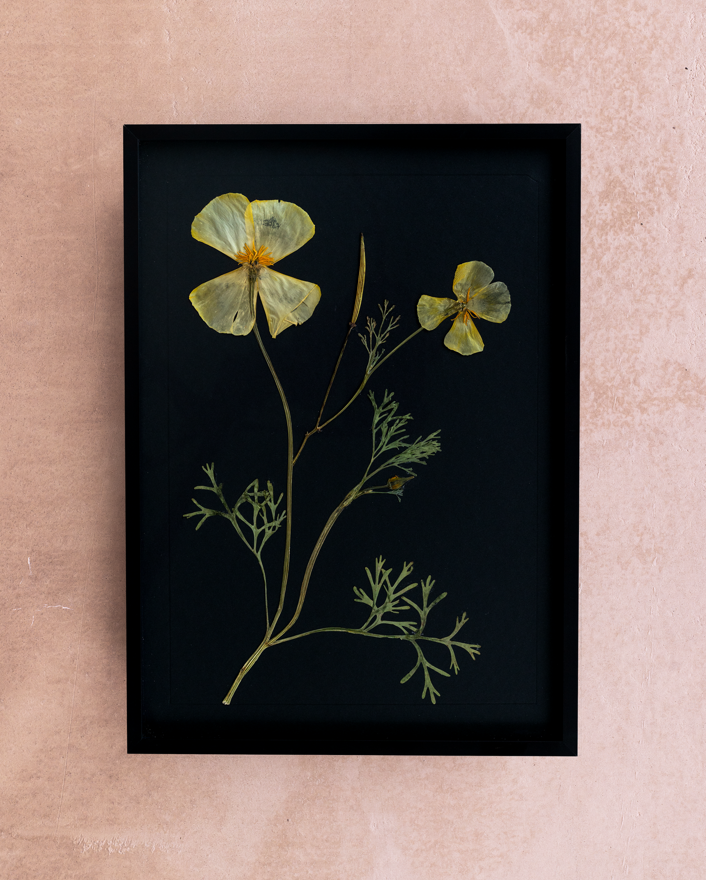 Handmade pressed flower art and botanical wall decor. Discover meaningful floral gifts crafted with love at Nostos Creative Studio.