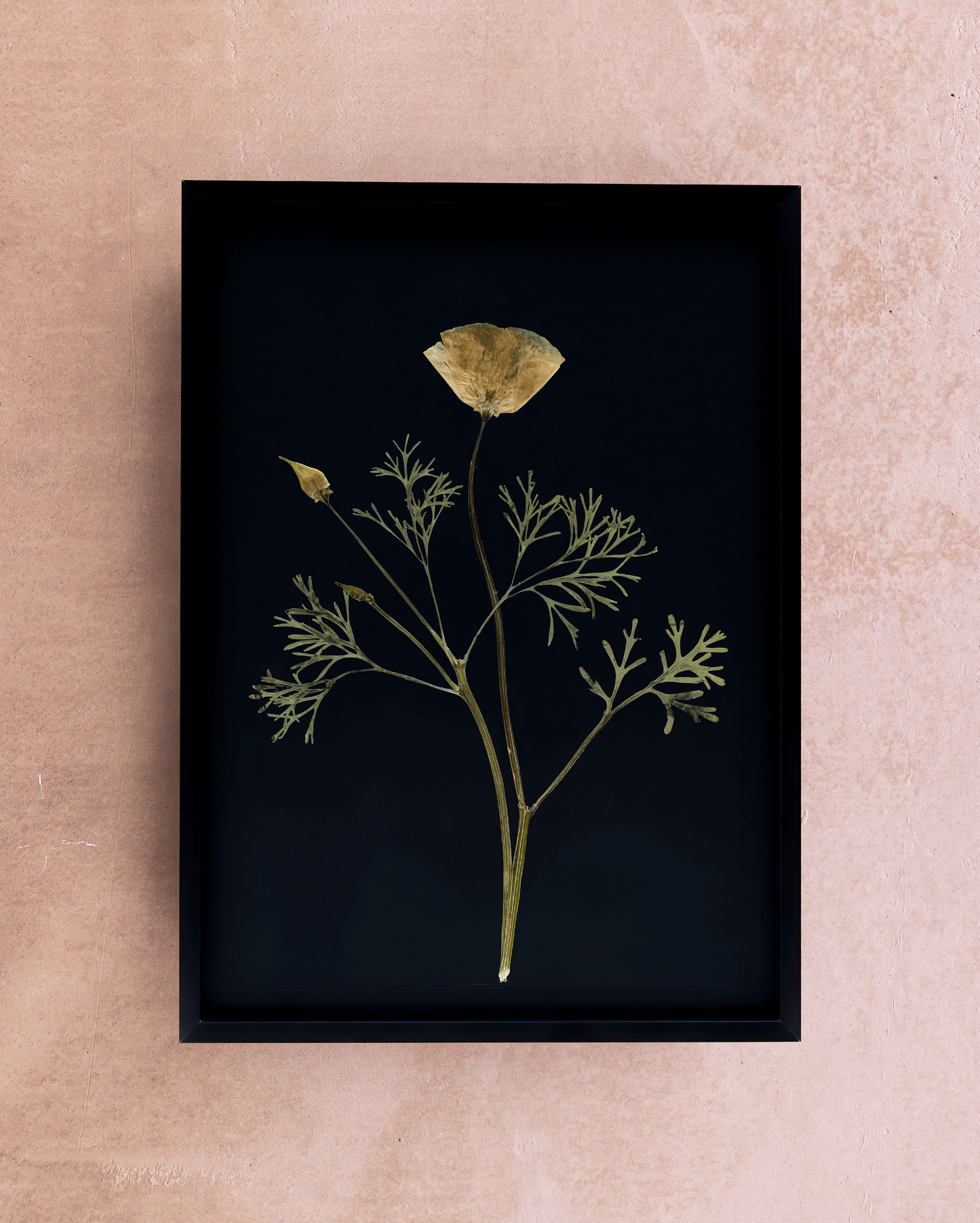 Handmade pressed flower art and botanical home decor. Discover meaningful floral gifts crafted with love at Nostos Creative Studio.