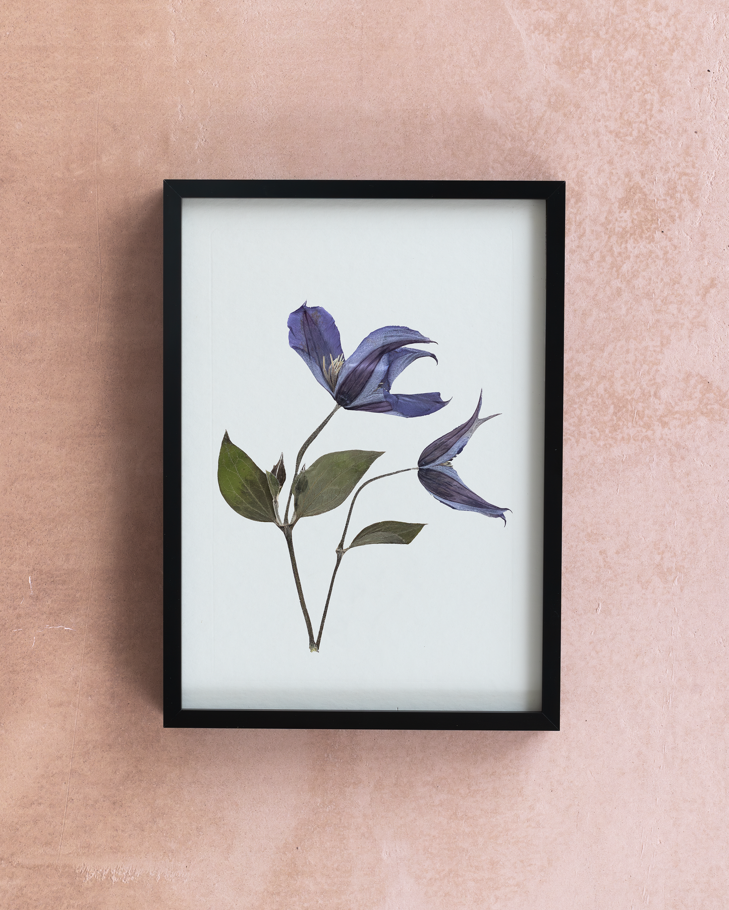Handmade pressed flower art and botanical home decor. Discover meaningful floral gifts crafted with love at Nostos Creative Studio.