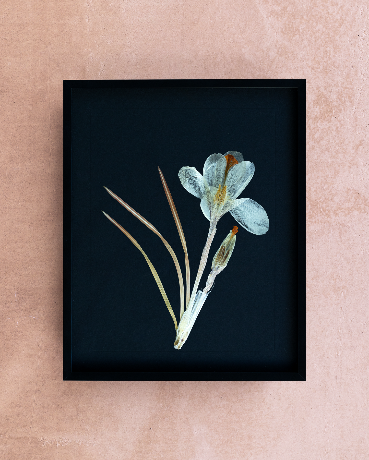 Handmade pressed flower art and botanical wall decor. Discover meaningful floral gifts crafted with love at Nostos Creative Studio.