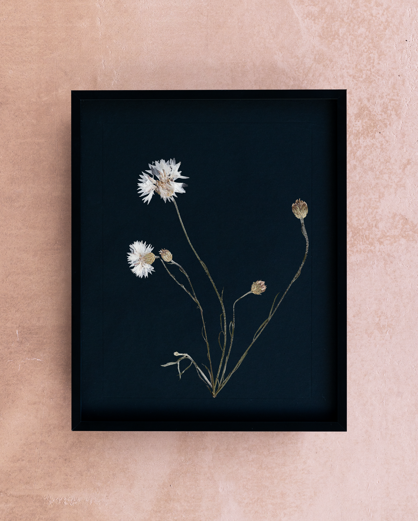 Handmade pressed flower art and botanical home decor. Discover meaningful floral gifts crafted with love at Nostos Creative Studio.