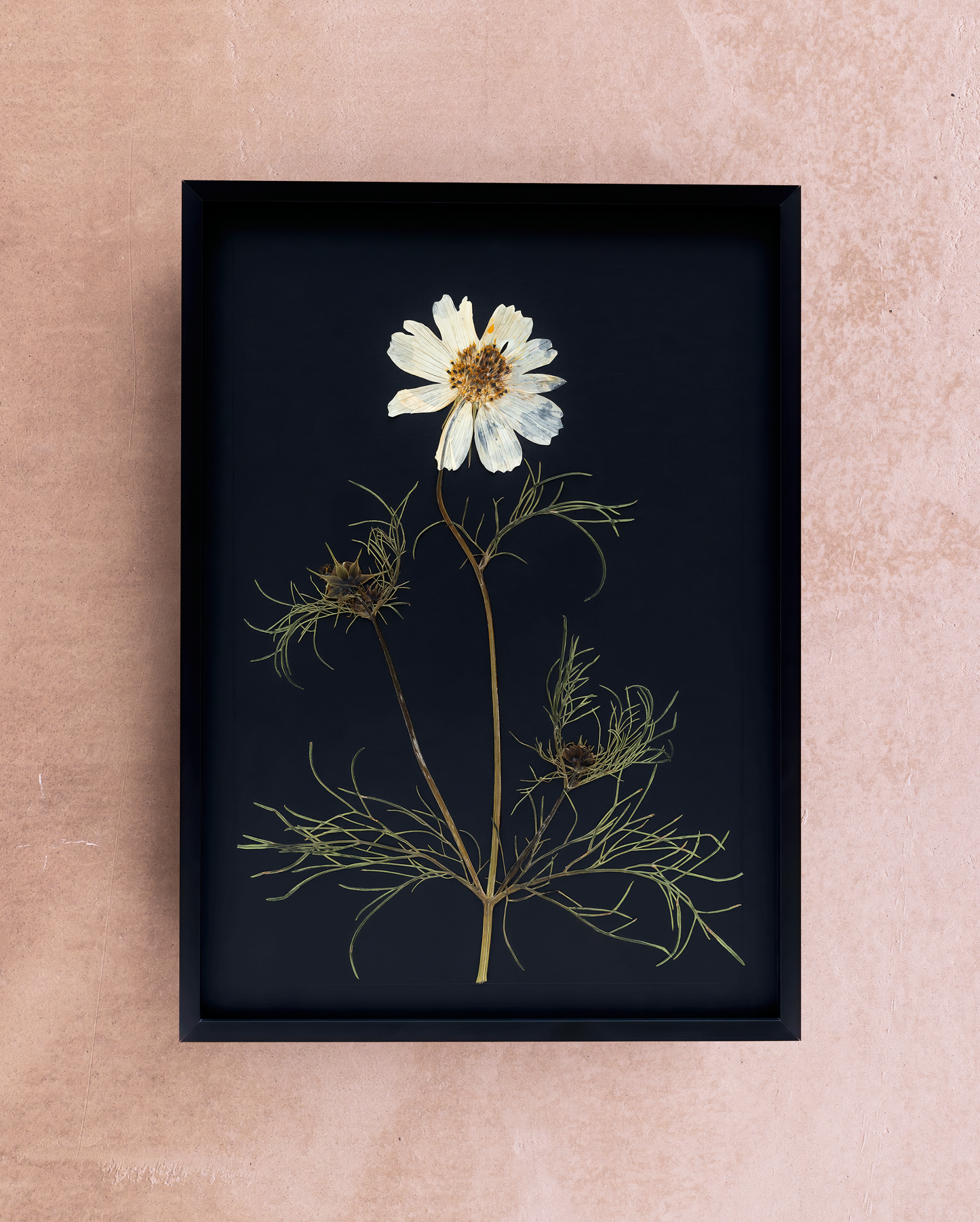 Handmade pressed flower art and botanical home decor. Discover meaningful floral gifts crafted with love at Nostos Creative Studio.