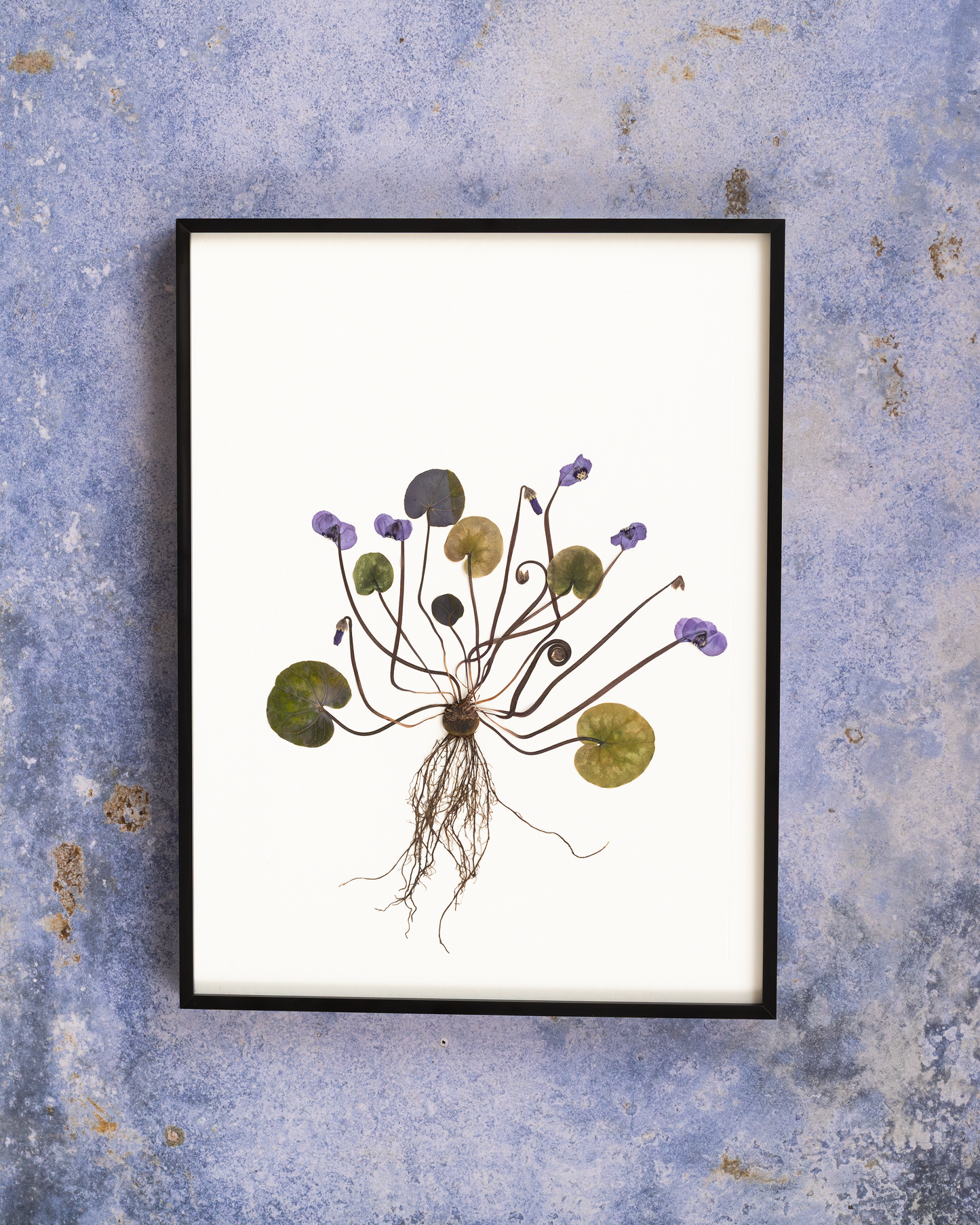 Handmade pressed flower art and botanical wall decor. Discover meaningful floral gifts crafted with love at Nostos Creative Studio.