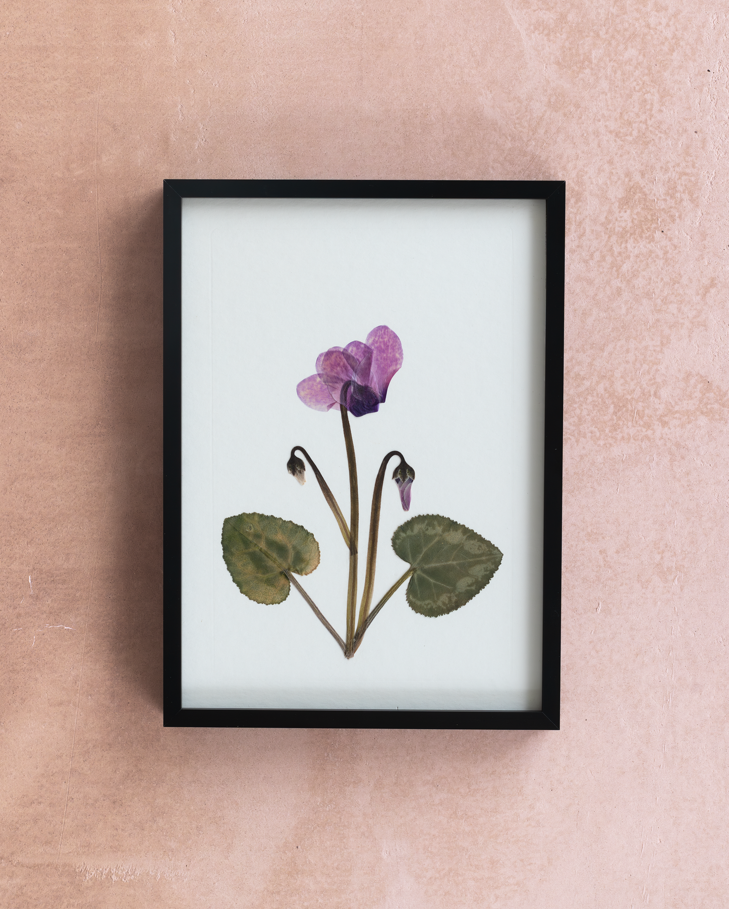 Handmade pressed flower art and botanical wall decor. Discover meaningful floral gifts crafted with love at Nostos Creative Studio.