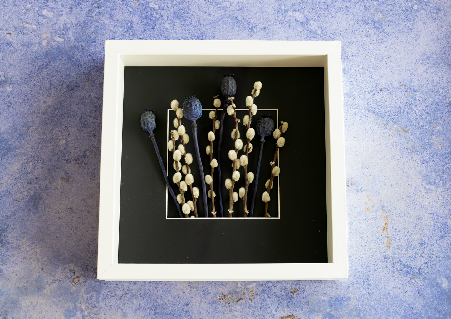 Dried Purple Poppy & Willow Catkins