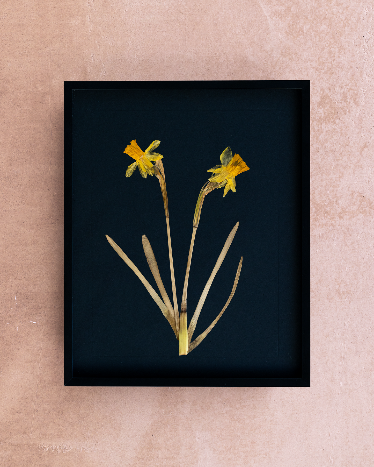 Handmade pressed flower art and botanical wall decor. Discover meaningful floral gifts crafted with love at Nostos Creative Studio.