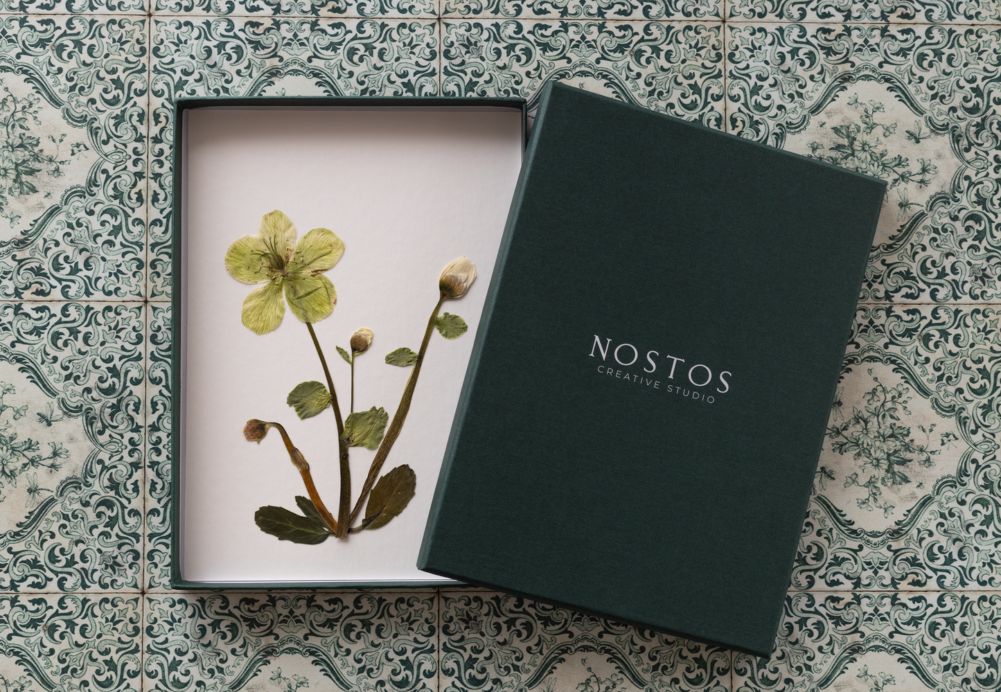 Framed pressed Hellebores flower art – nature-inspired wall decor or thoughtful gift