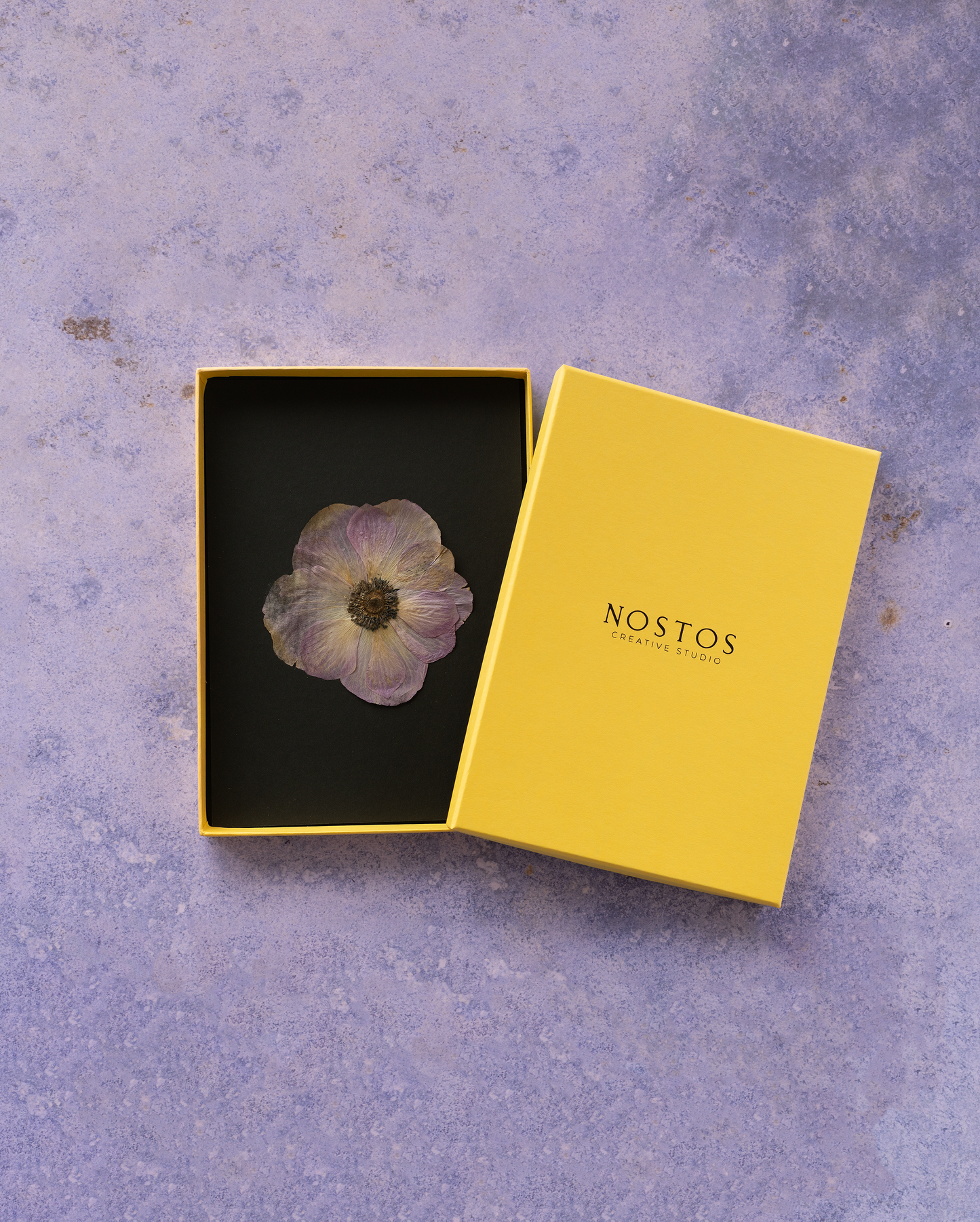 Handmade pressed flower art and botanical home decor. Discover meaningful floral gifts crafted with love at Nostos Creative Studio.