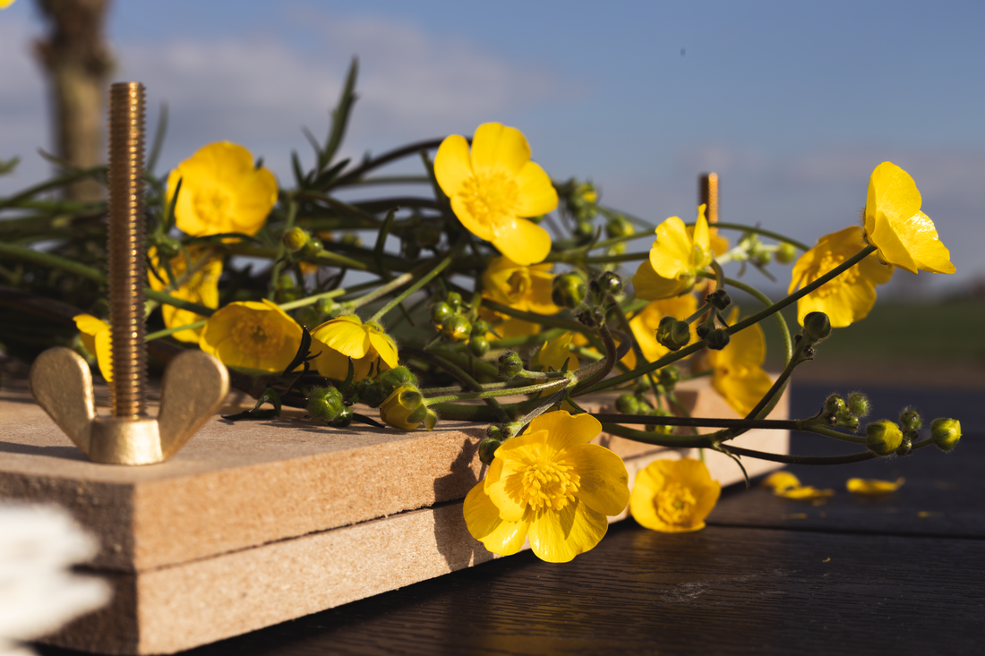 Where Flowers Become Eternal: A Journey Through Nature and Pressed Flowers