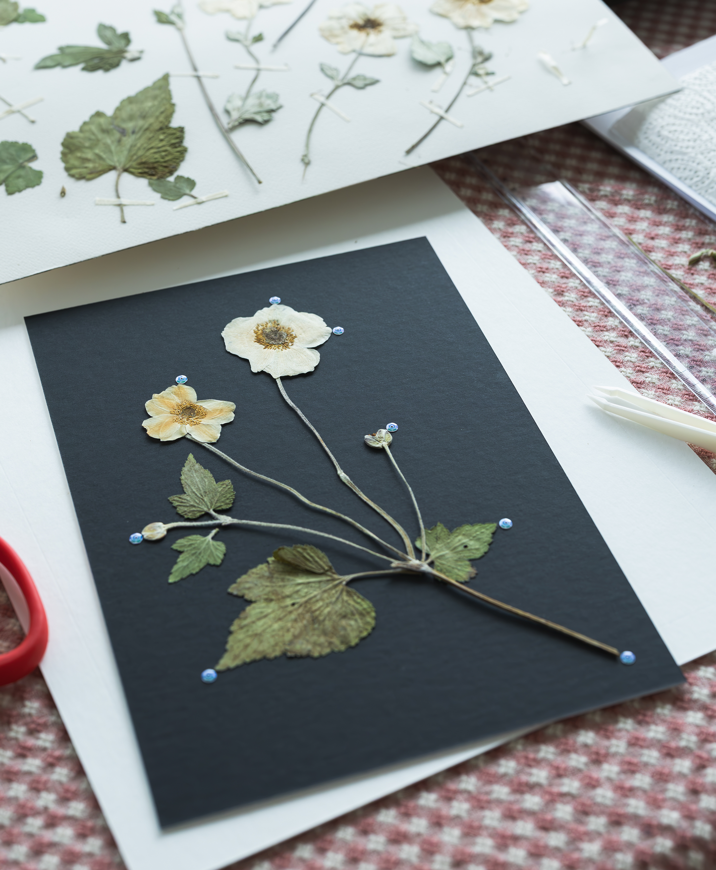 A pressed flower art piece on a dark charcoal card, displayed on a white sheet over a red-and-white checkered fabric surface. Other pressed botanical sheets and small tools are visible around it.