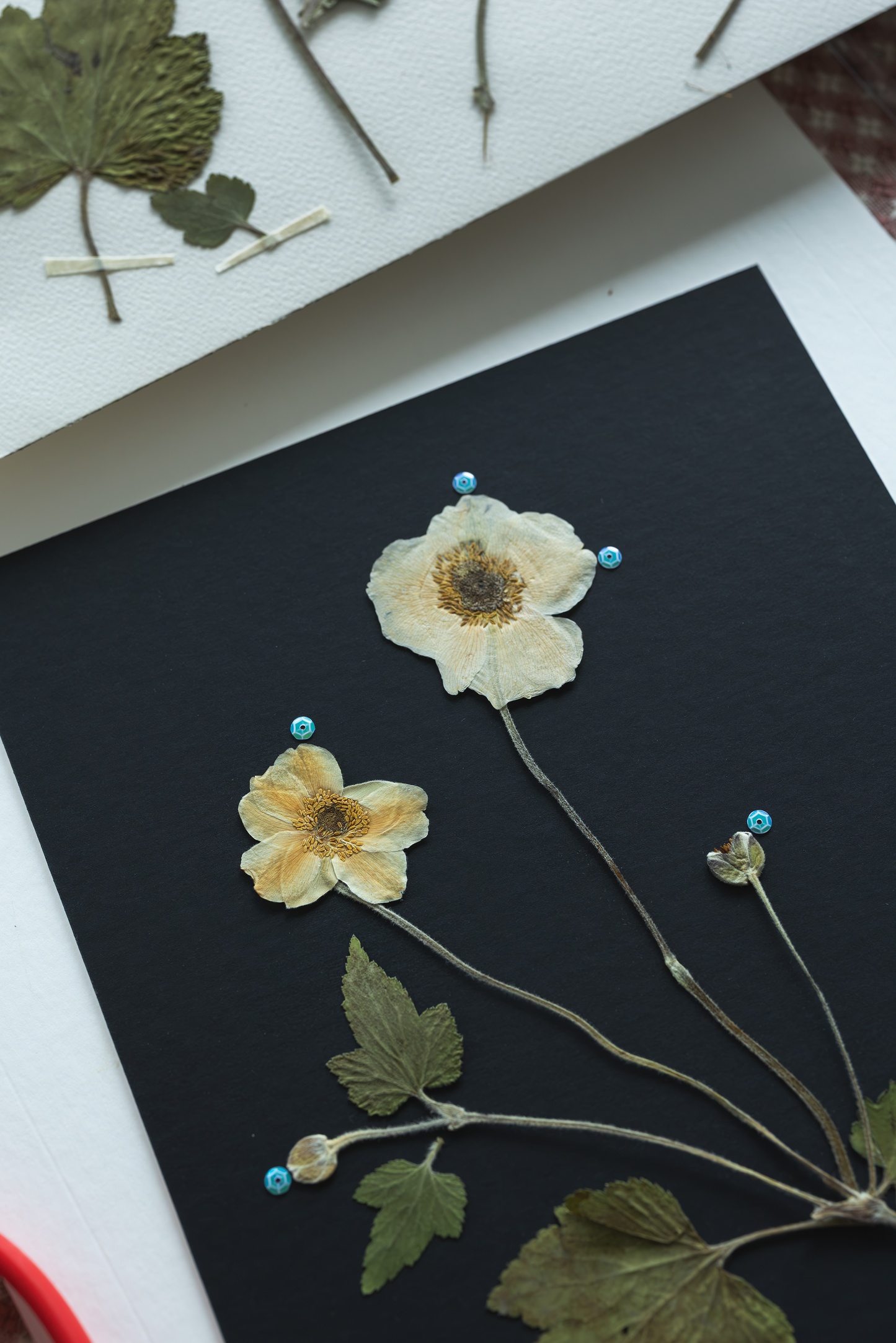 A close-up of pressed dried flowers and green leaves arranged on a black square card, with small blue beads holding the pieces in place. Another white card with more pressed botanical elements is partially visible at the top left.