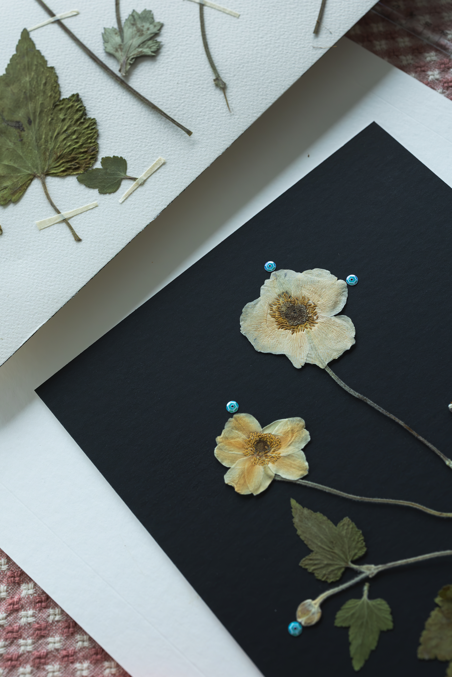 A close-up of pressed floral art on a black card pinned with small blue beads, alongside another pressed botanical arrangement on white paper.