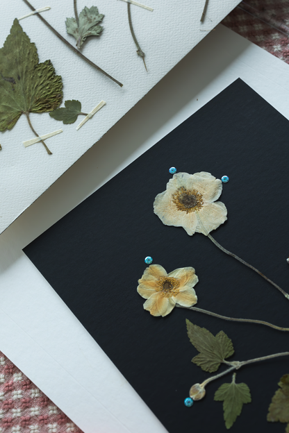 A close-up of pressed floral art on a black card pinned with small blue beads, alongside another pressed botanical arrangement on white paper.