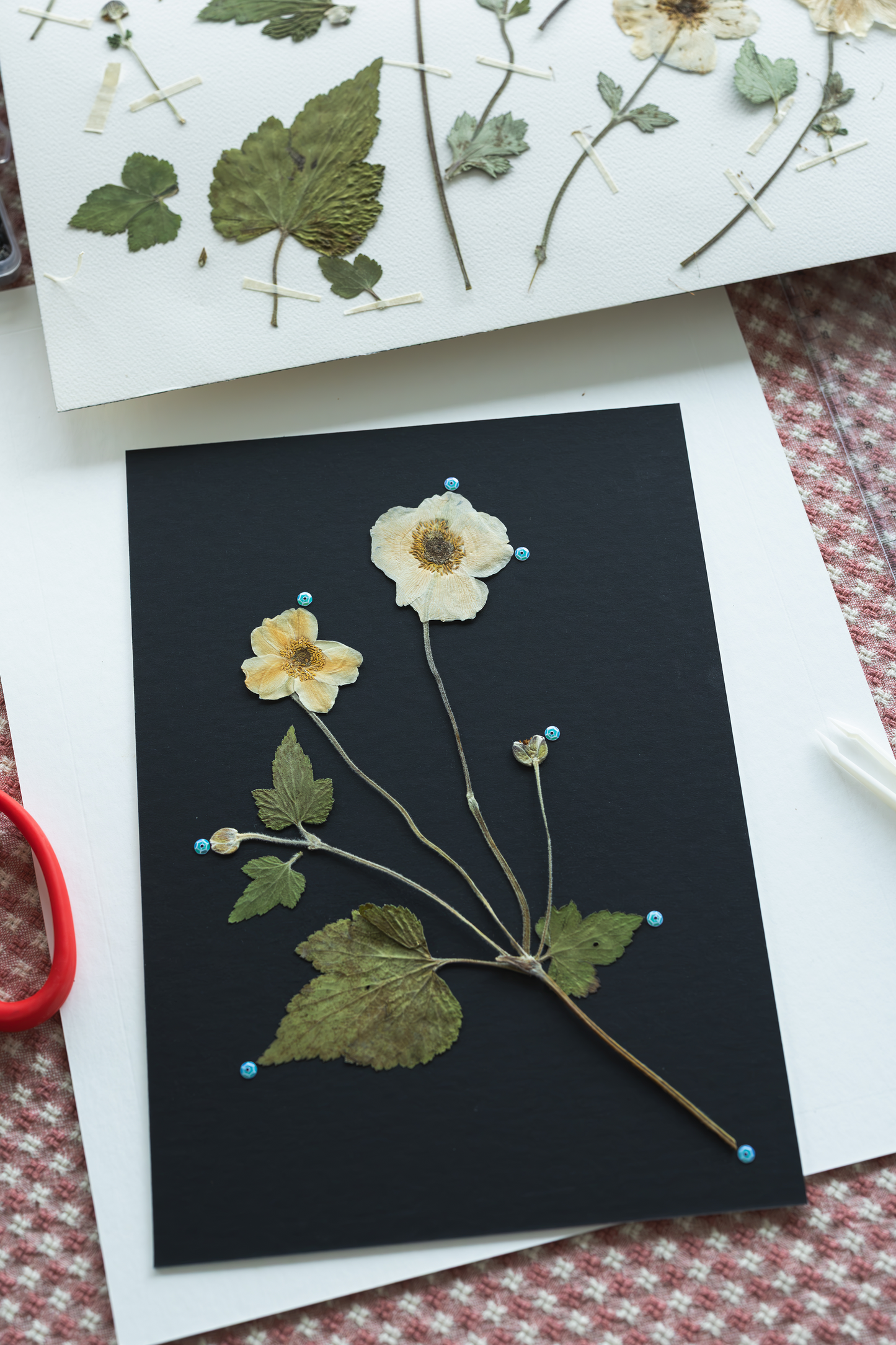 A pressed flower art print featuring pale yellow and white wildflowers on a black background, styled on a white surface with other pressed botanical sheets and a red-handled tool nearby.