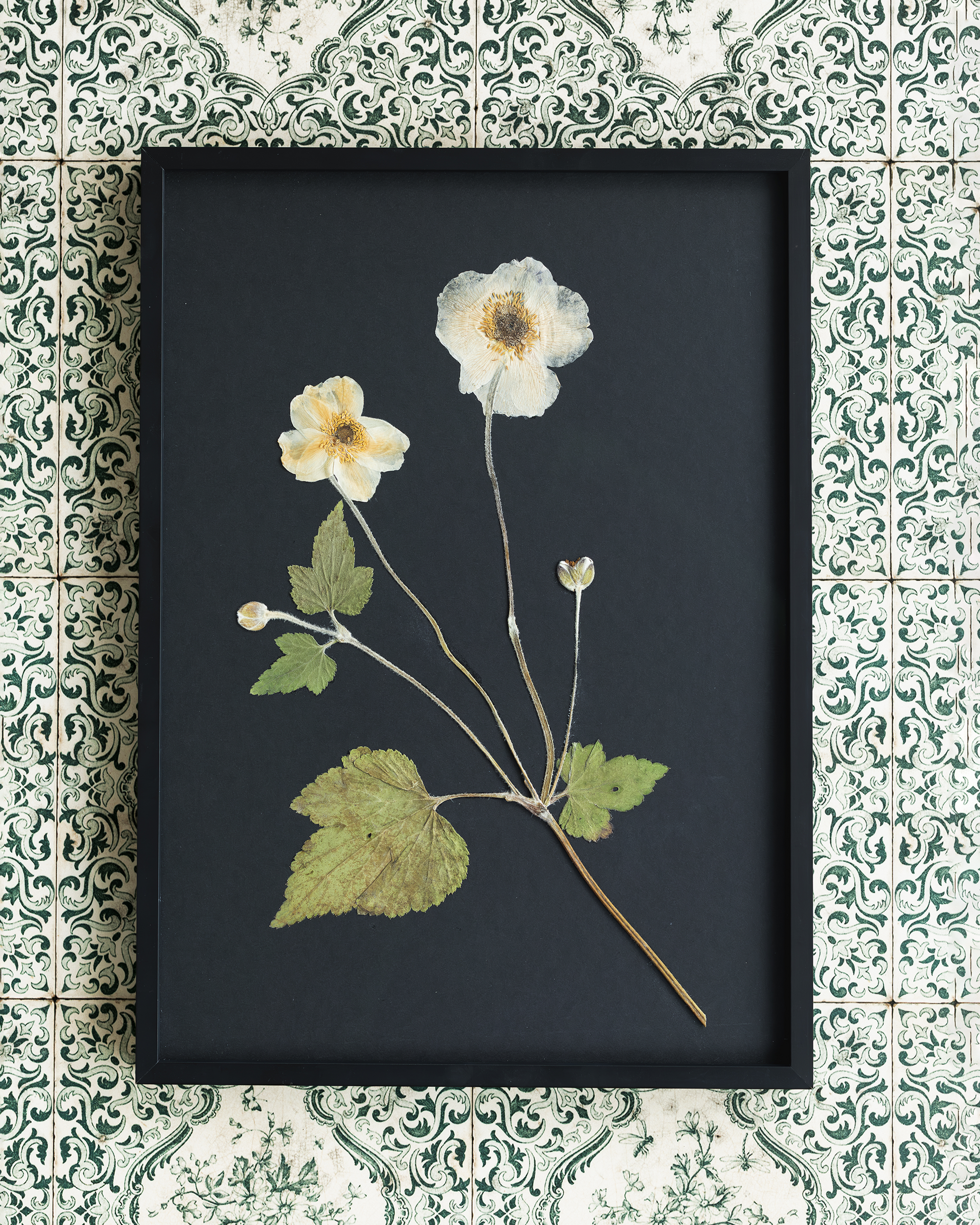 A framed botanical art print featuring pressed white and pale yellow flowers with green leaves on a dark background, set against a green and white patterned tile wall.