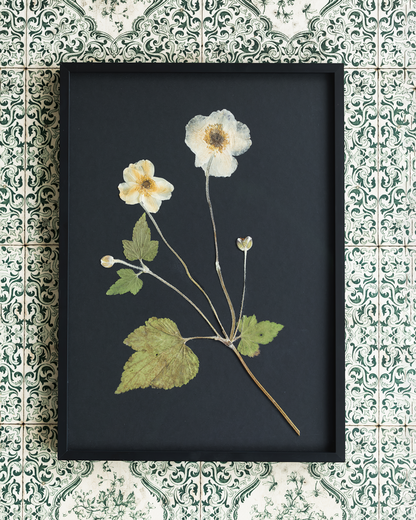 A framed botanical art print featuring pressed white and pale yellow flowers with green leaves on a dark background, set against a green and white patterned tile wall.
