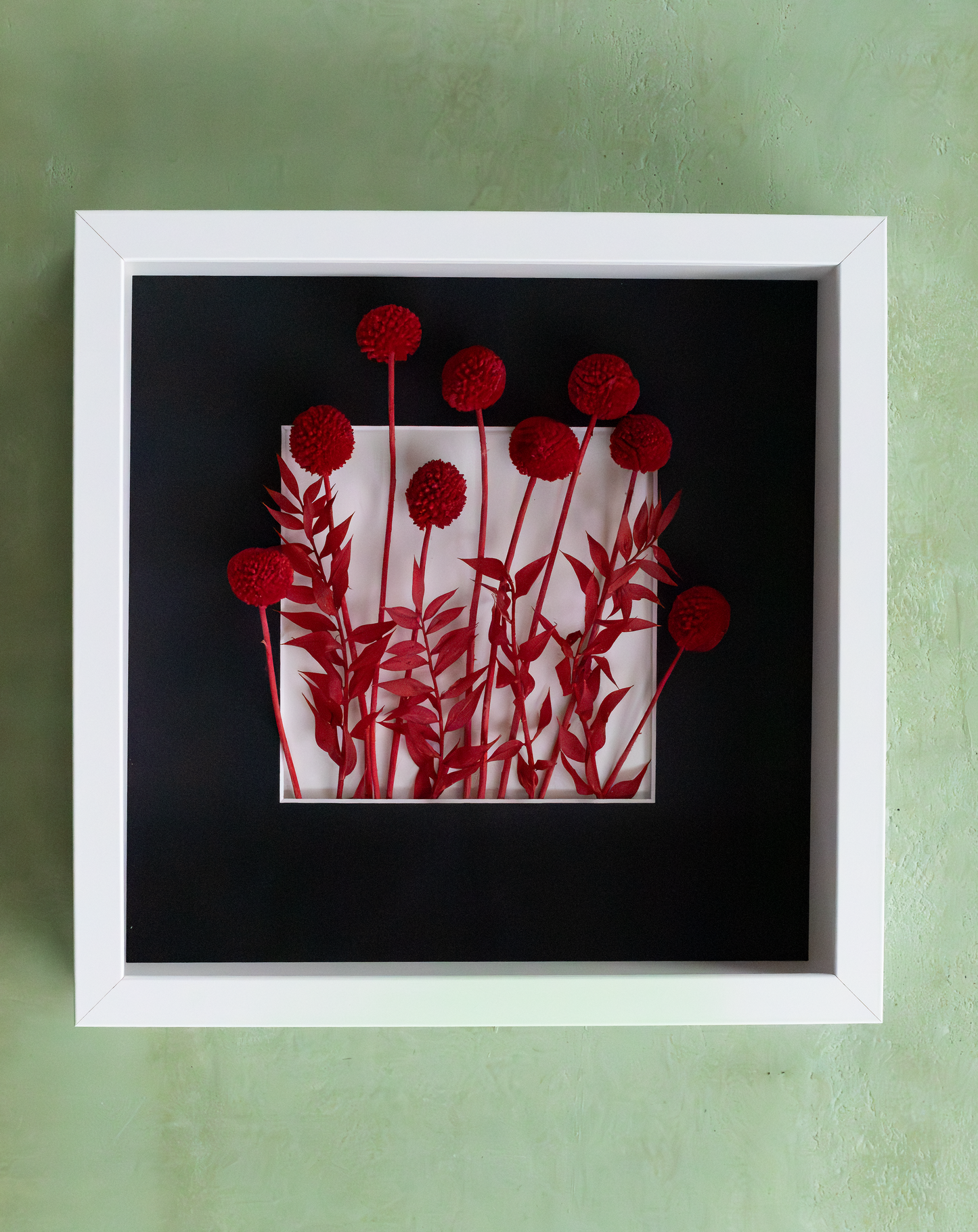 A hand-framed dried red craspedia in rich red, balancing strength and delicacy. A refined black-frame botanical artwork for warm, modern home décor.