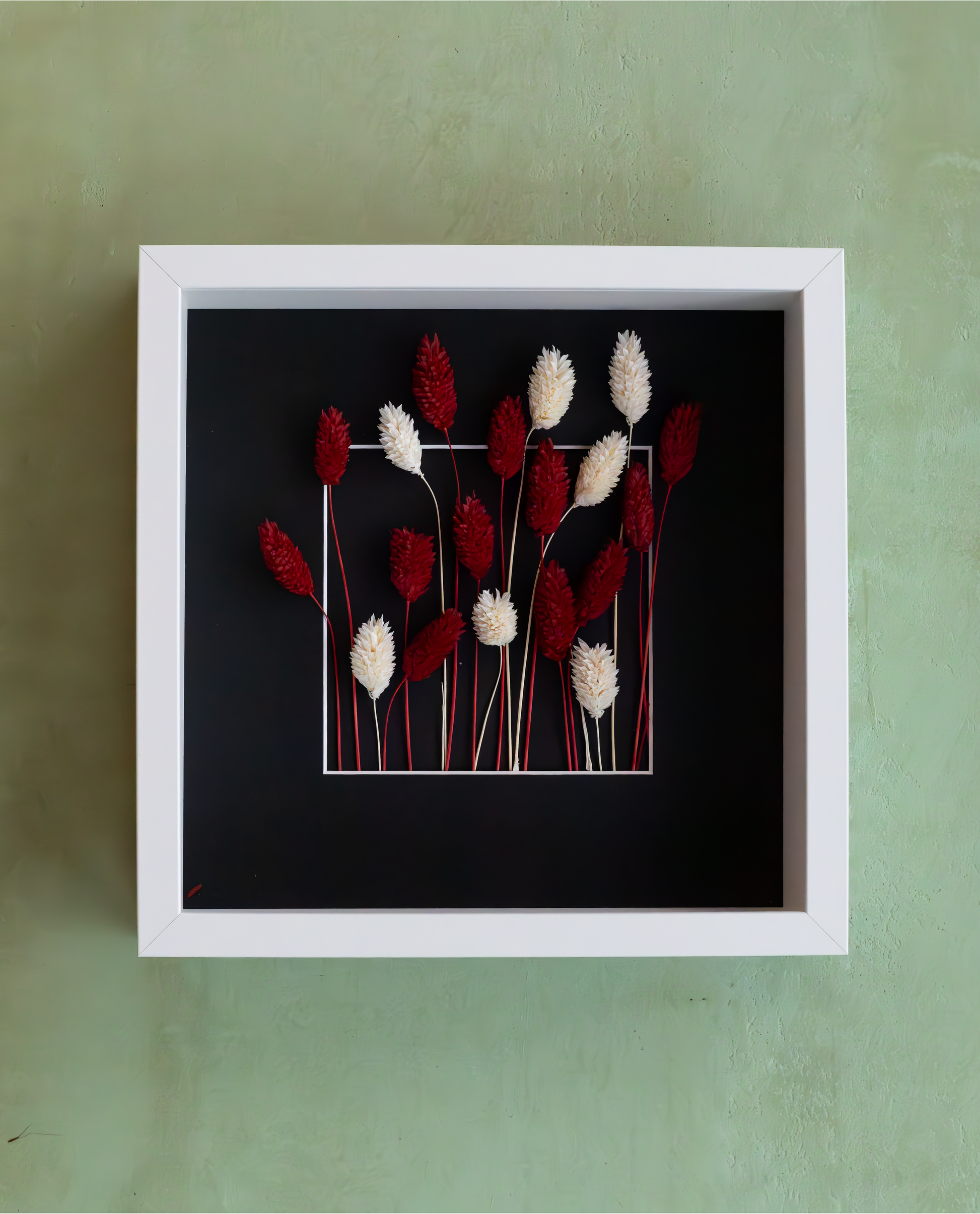 Handmade Dried Red Phalaris wall art in a black frame. A unique botanical Christmas and New year gift and elegant home décor piece, crafted in the Netherlands.