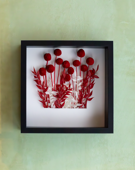 Handmade Dried Craspedia in Deep Red wall art in a black frame. A unique botanical Christmas and New year gift and elegant home décor piece, crafted in the Netherlands.