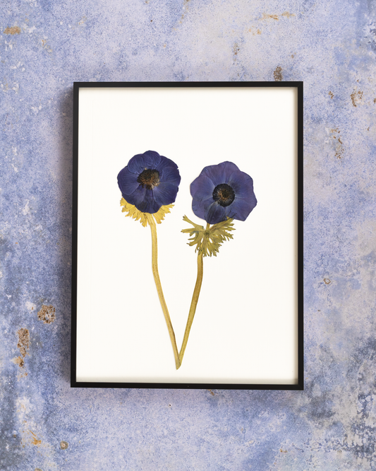 Handmade pressed flower art and botanical wall decor. Discover meaningful floral gifts crafted with love at Nostos Creative Studio.