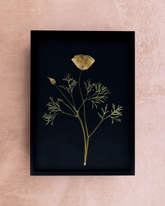 Handmade pressed flower art and botanical home decor. Discover meaningful floral gifts crafted with love at Nostos Creative Studio.