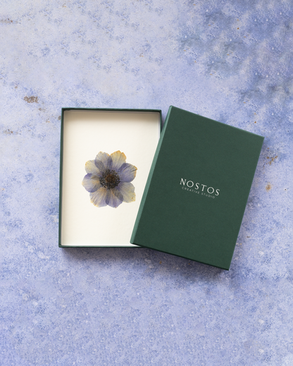 Handmade pressed flower art and botanical home decor. Discover meaningful floral gifts crafted with love at Nostos Creative Studio.