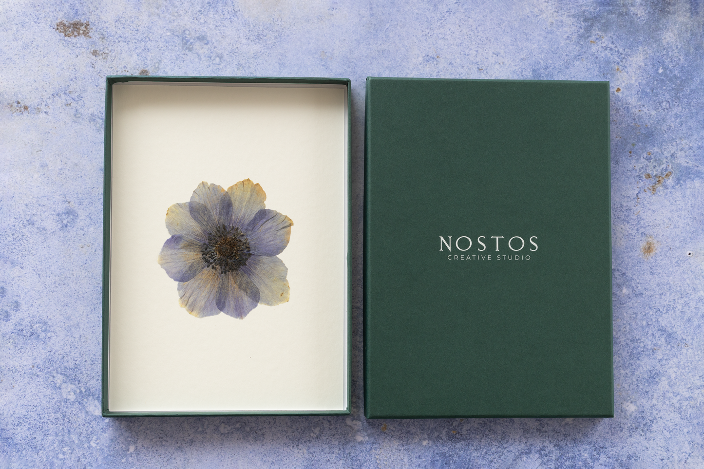 Framed pressed Anemone flower art – nature-inspired wall decor or thoughtful gift