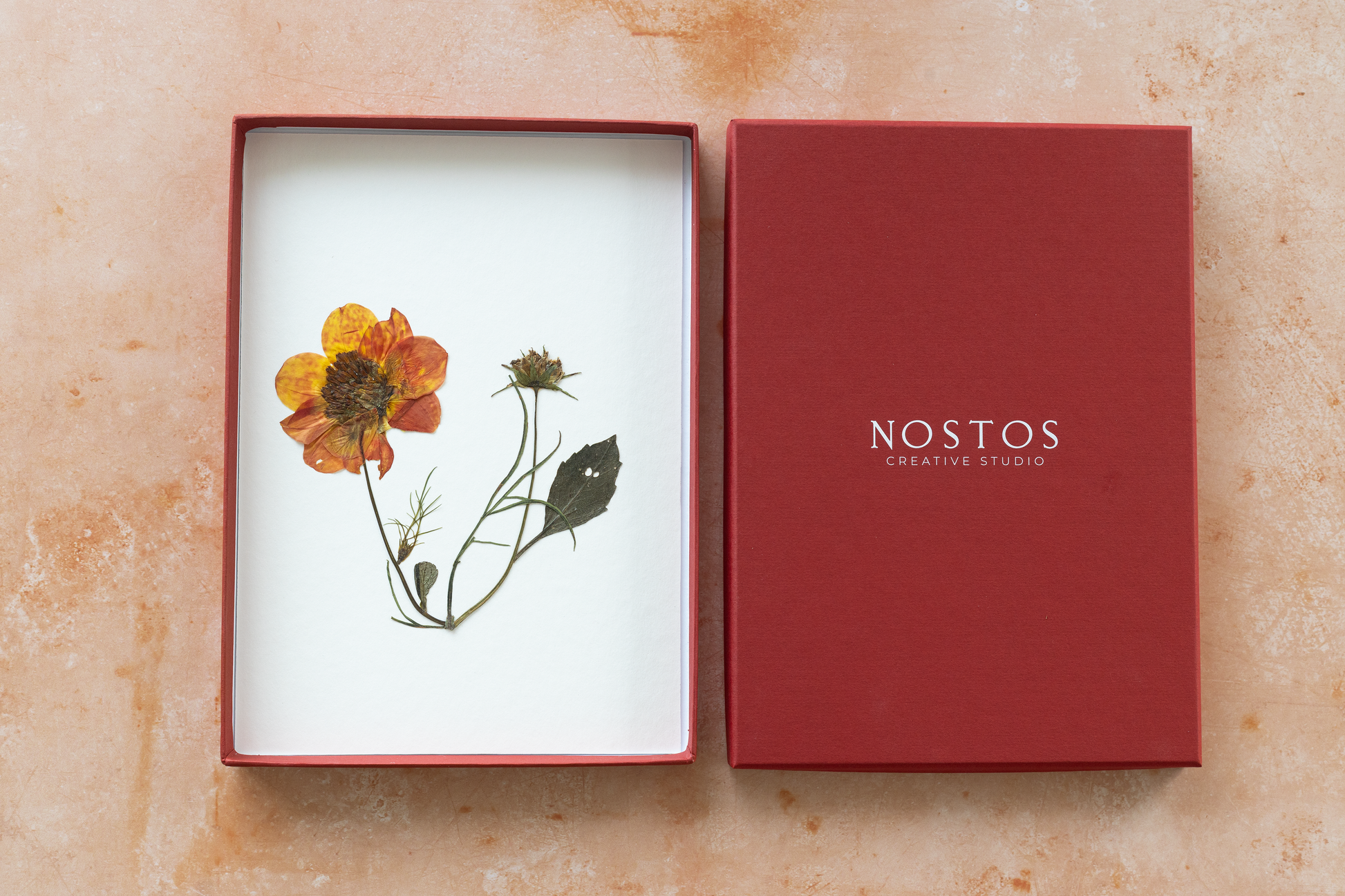 Framed pressed Dahlia flower art – nature-inspired wall decor or thoughtful gift