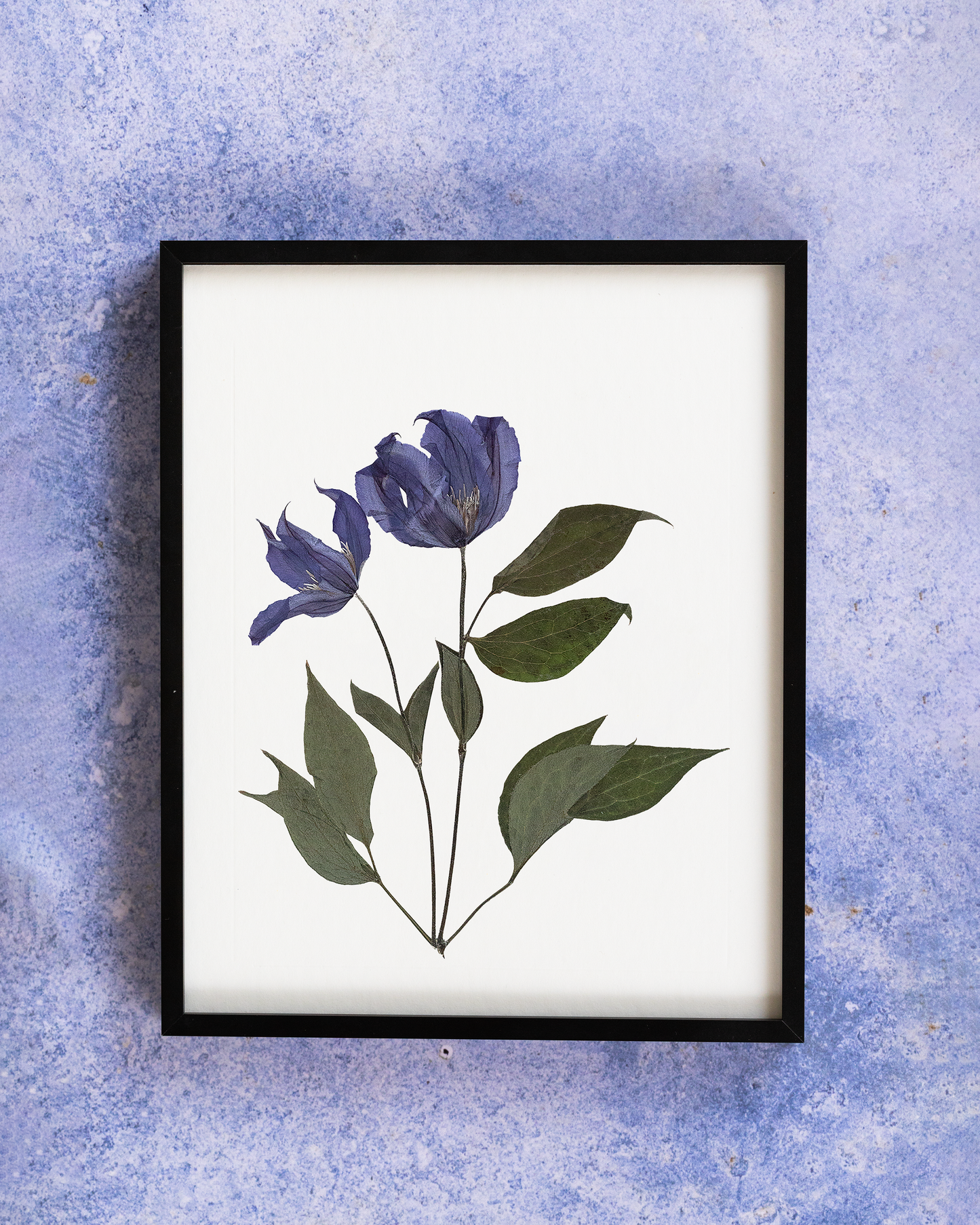 Handmade pressed flower art and botanical home decor. Discover meaningful floral gifts crafted with love at Nostos Creative Studio.