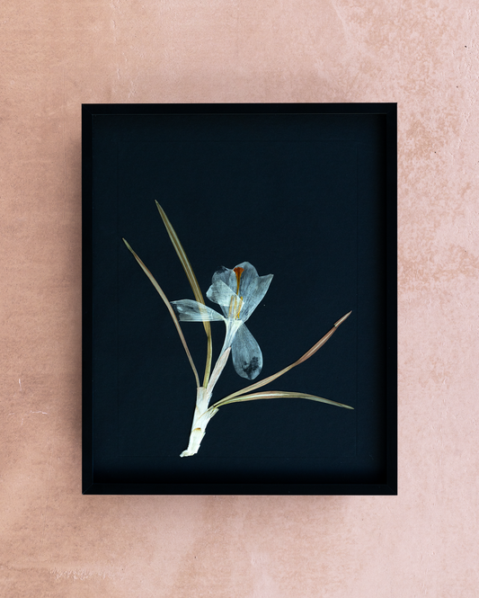 Handmade pressed flower art and botanical wall decor. Discover meaningful floral gifts crafted with love at Nostos Creative Studio.