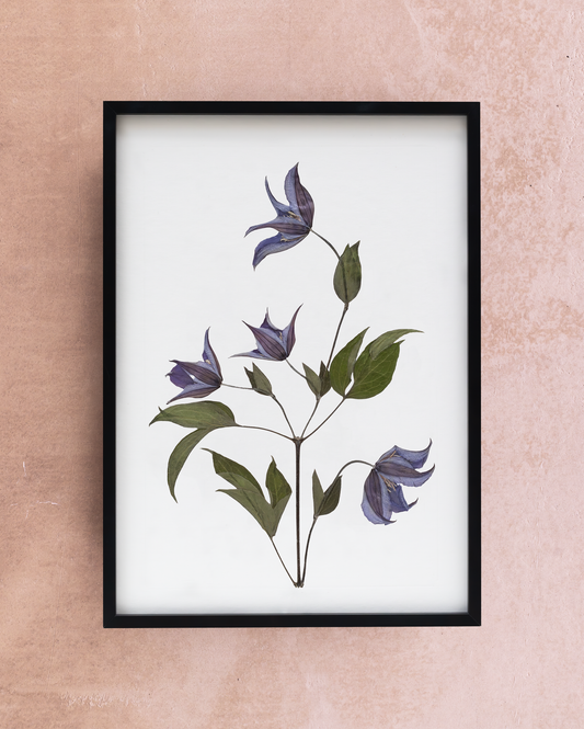 Handmade pressed flower art and botanical home decor. Discover meaningful floral gifts crafted with love at Nostos Creative Studio.