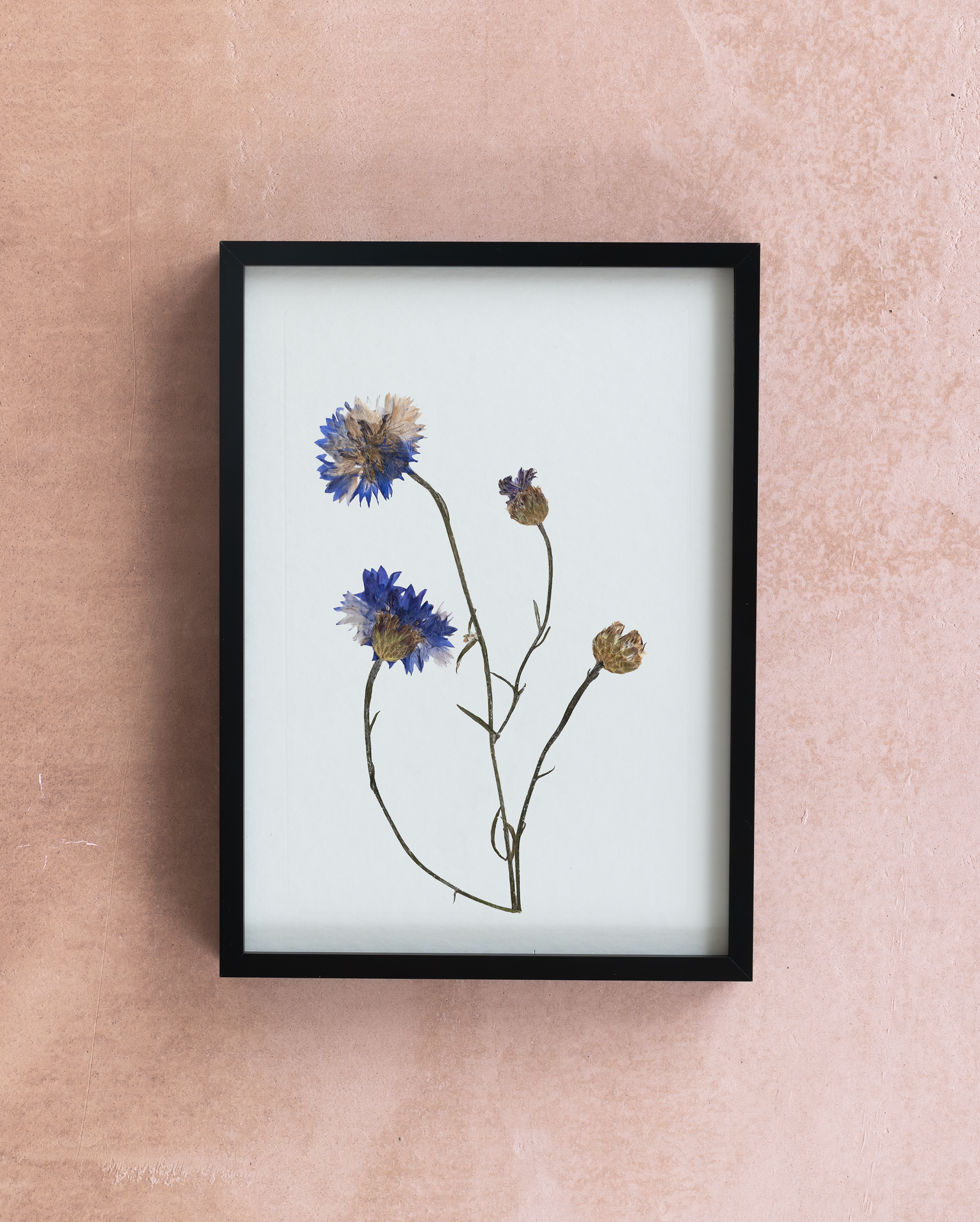 Handmade pressed flower art and botanical wall decor. Discover meaningful floral gifts crafted with love at Nostos Creative Studio.