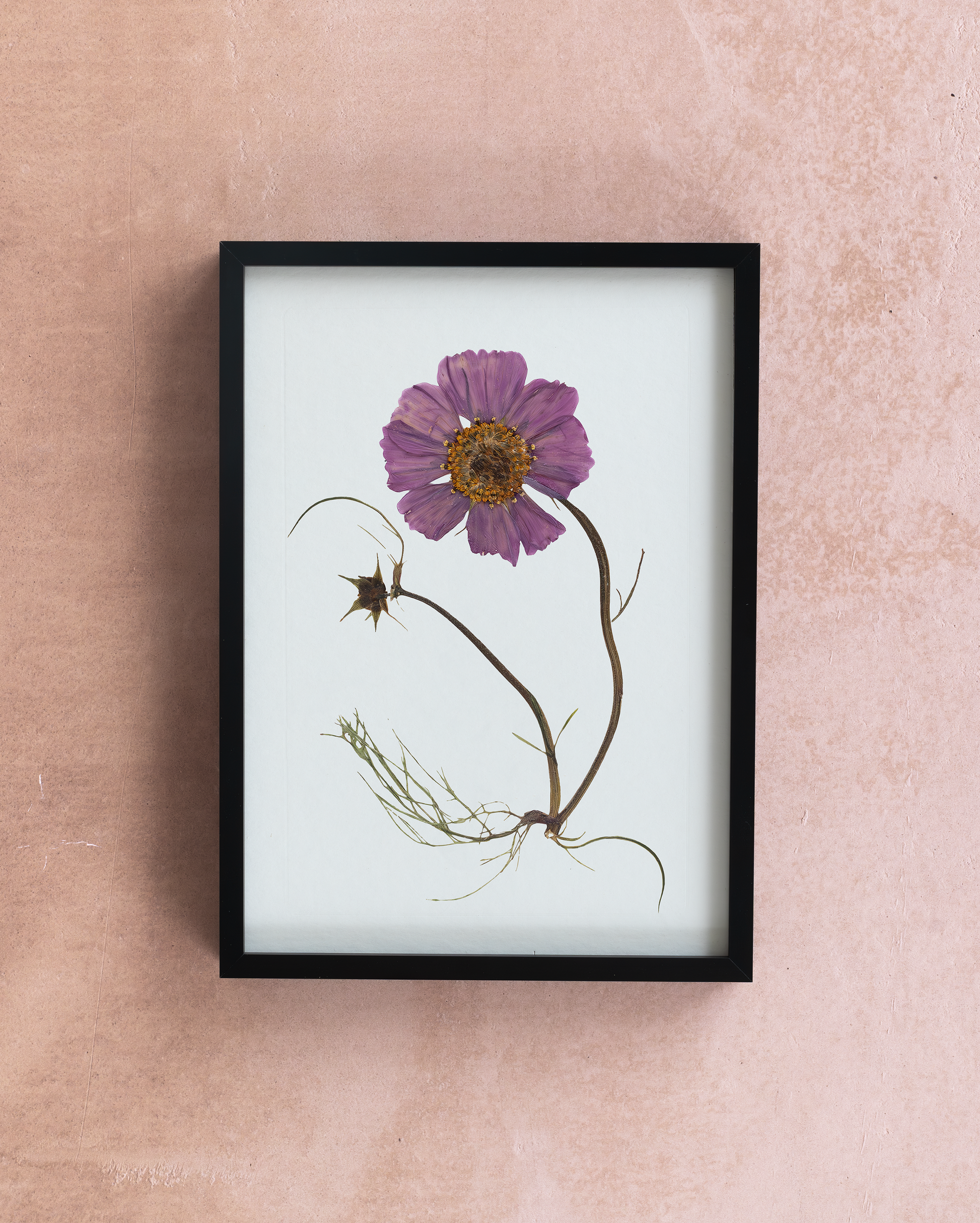 Handmade pressed flower art and botanical home decor. Discover meaningful floral gifts crafted with love at Nostos Creative Studio.