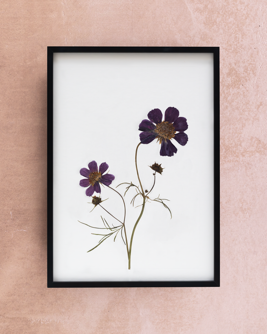 Handmade pressed flower art and botanical home decor. Discover meaningful floral gifts crafted with love at Nostos Creative Studio.