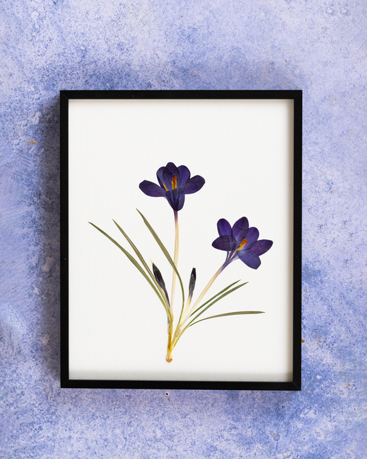 Handmade pressed flower art and botanical wall decor. Discover meaningful floral gifts crafted with love at Nostos Creative Studio.