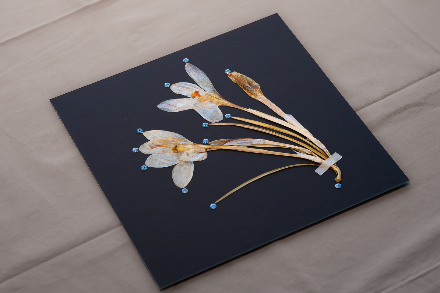 Handcrafted pressed white crocus artwork in a matte black fibreboard frame. A calming botanical wall decor piece that brings natural beauty to any home — perfect as a thoughtful wall hanging or a meaningful gift for your loved ones.