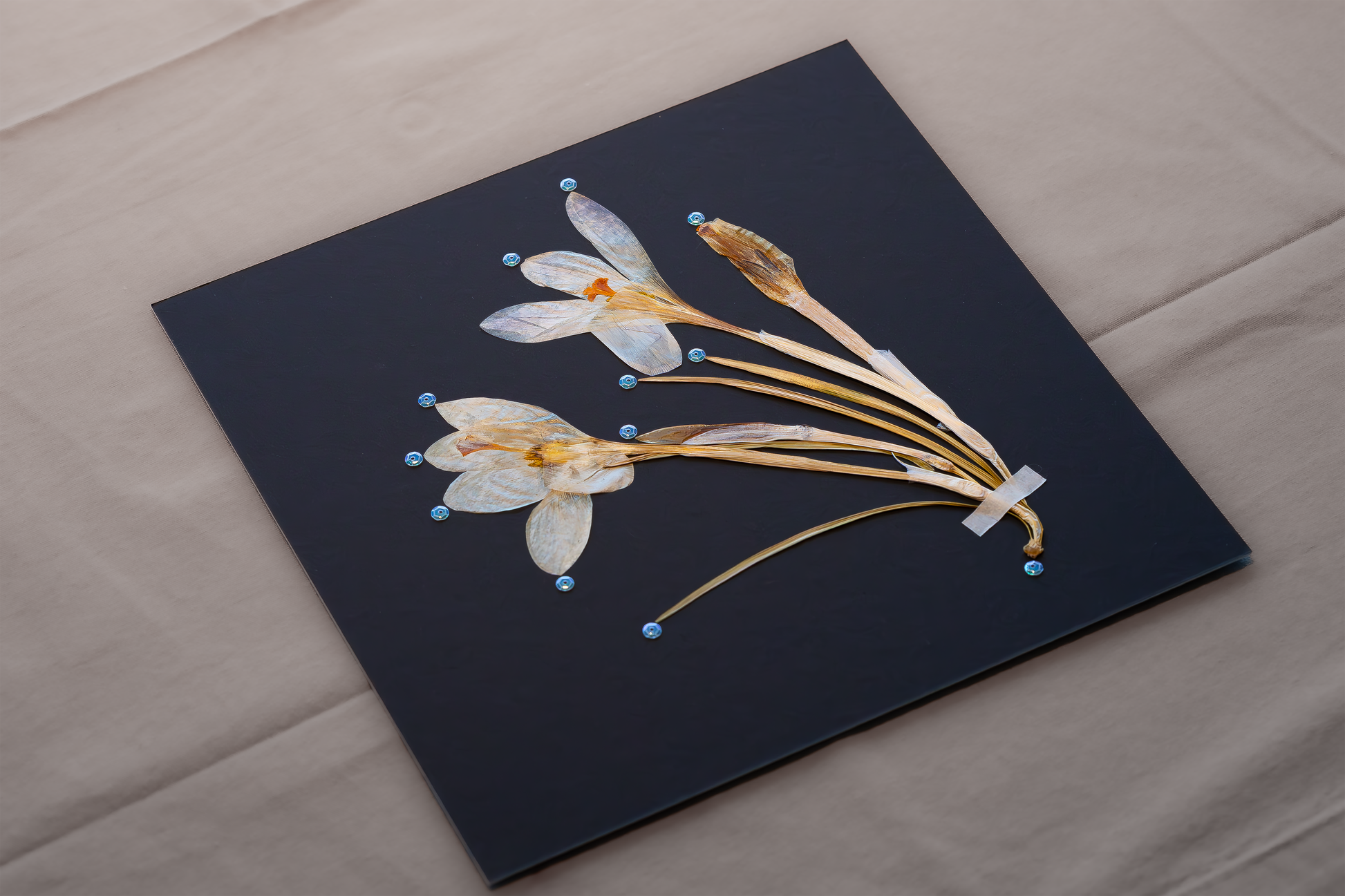 Handcrafted pressed white crocus artwork in a matte black fibreboard frame. A calming botanical wall decor piece that brings natural beauty to any home — perfect as a thoughtful wall hanging or a meaningful gift for your loved ones.