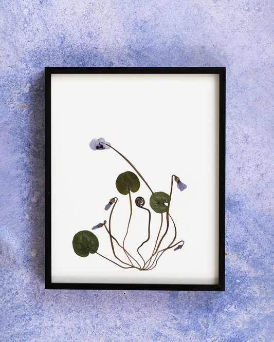 Handmade pressed flower art and botanical wall decor. Discover meaningful floral gifts crafted with love at Nostos Creative Studio.