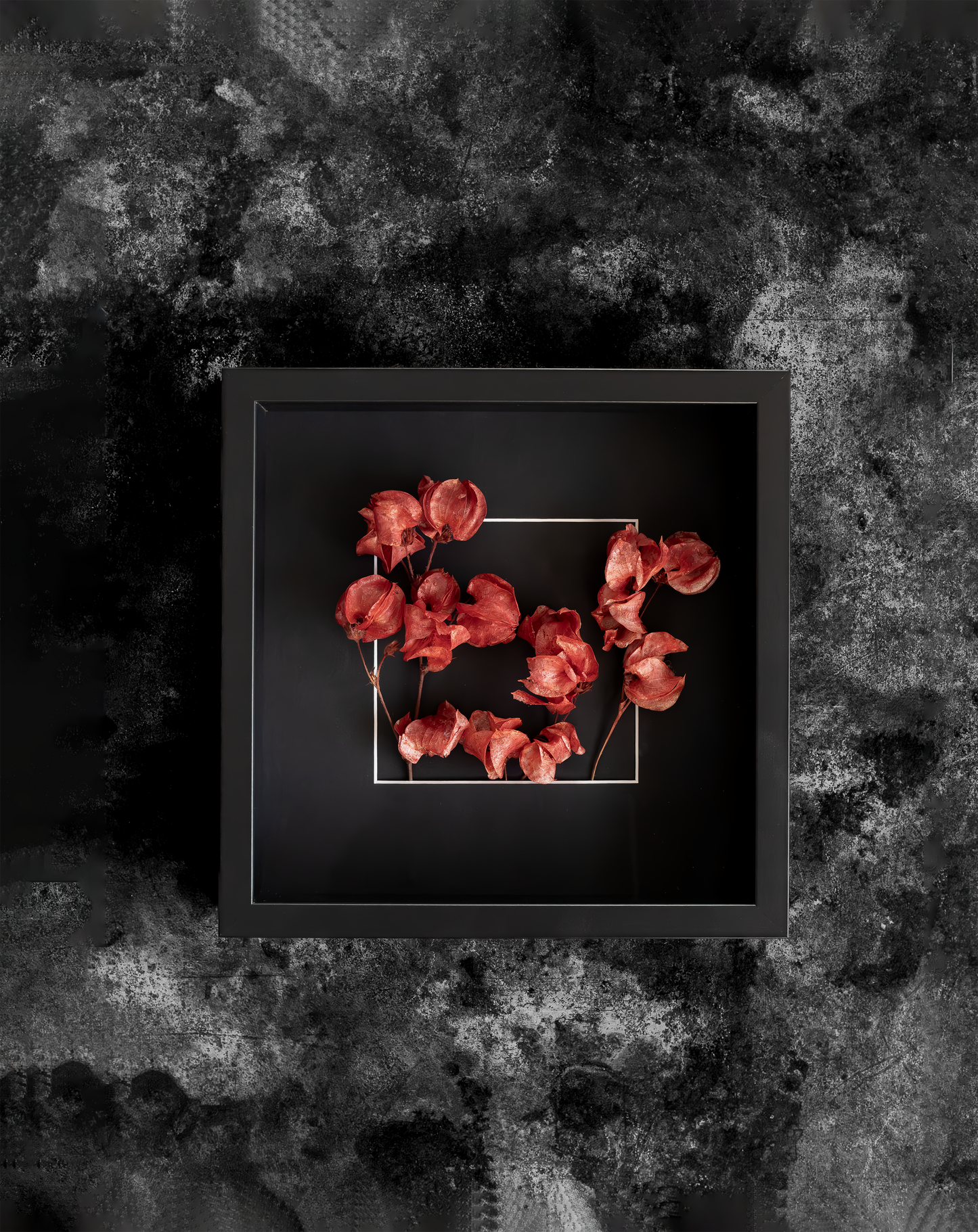 Dried Red Bougainvillea