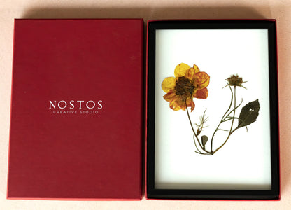 A framed pressed flower art print displayed next to its red NOSTOS Creative Studio gift box. The print features a yellow and orange pressed flower with green leaves on a white background, enclosed in a black frame.