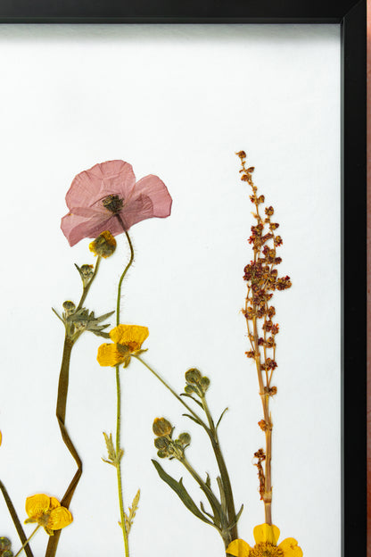 A framed botanical art print featuring pressed yellow wild flowers, common poppy, buttercups and green stems on a white background, enclosed in a black frame and mounted against a textured pink wall. Gift for your loved ones and home decor for your loved home.