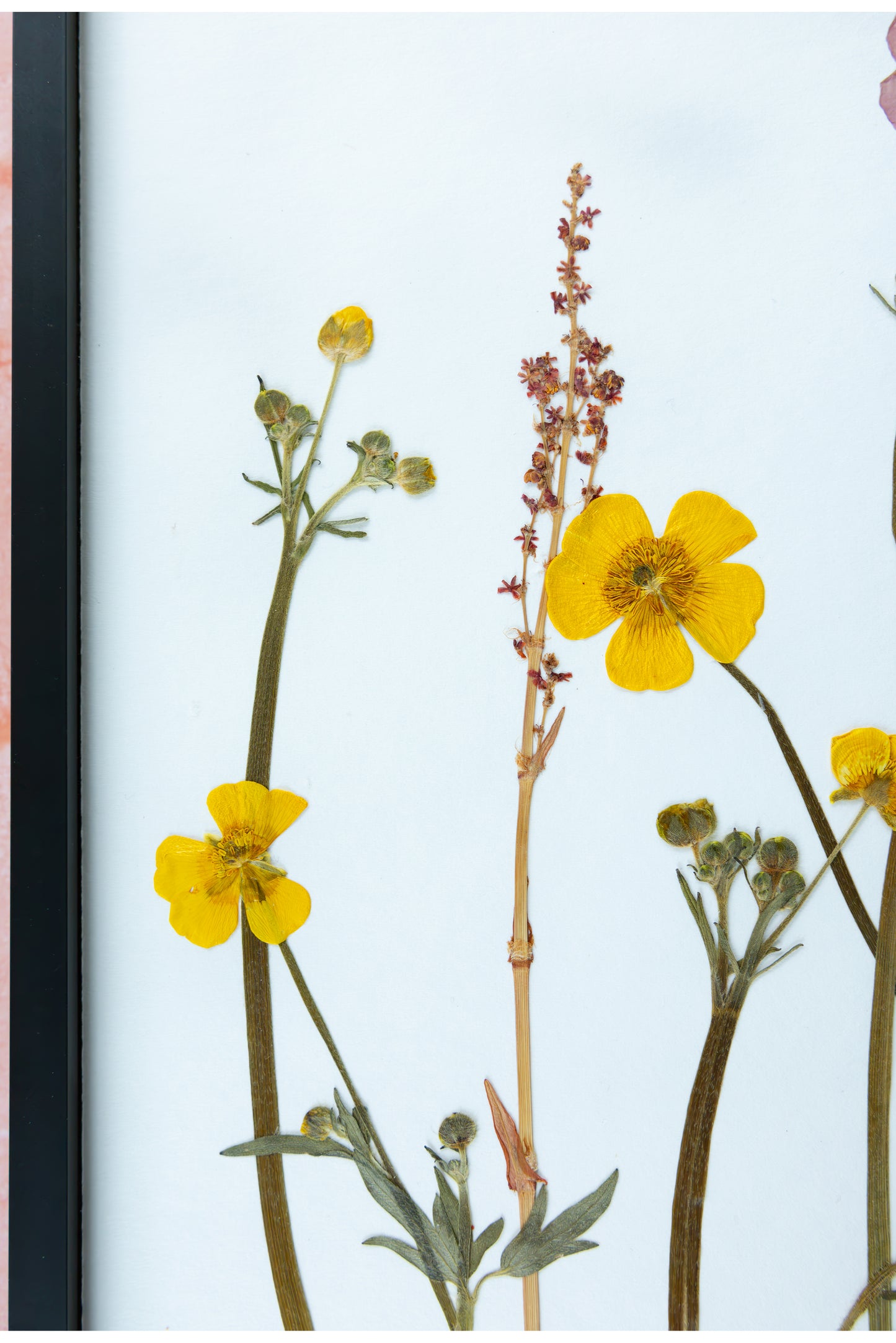 A framed botanical art print featuring pressed yellow flowers and green stems against a pale blue background.