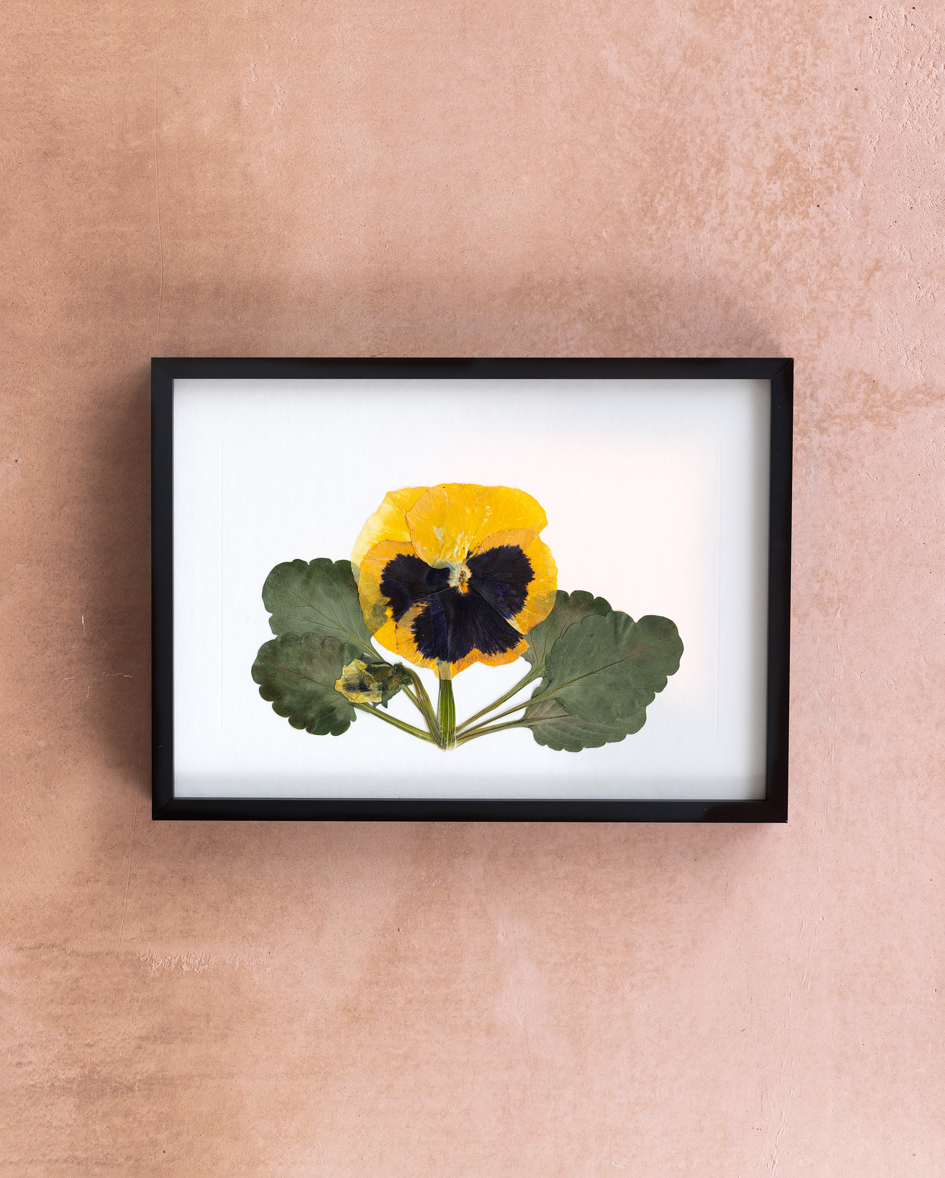 Handmade pressed flower art and botanical wall decor. Discover meaningful floral gifts crafted with love at Nostos Creative Studio.